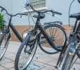 thumbs  - Hotel Aldebaran Rimini Mare (34/38)