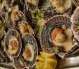 thumbs  - Strand Hotel Colorado Lido di Savio (29/62)