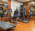 thumbs  - Gym with Technogym equipment - Hotel Hermitage Relais & Châteaux Cervinia (36/40)