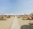 thumbs  - Hotel Fedora Rimini Mare (32/34)