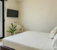 thumbs  - Hotel Acropolis Cattolica (53/63)