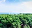 thumbs  - Hotel Bamby & Resort Pinarella di Cervia (29/29)
